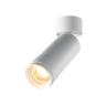 Потолочный светильник Technical C055CL-L12W2.7K-Z-W в Самаре